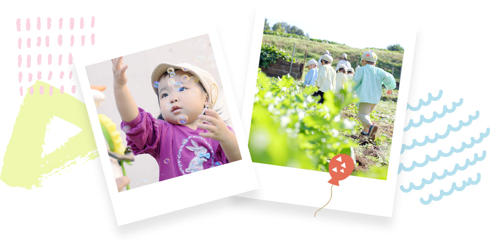 季節のフォトギャラリー