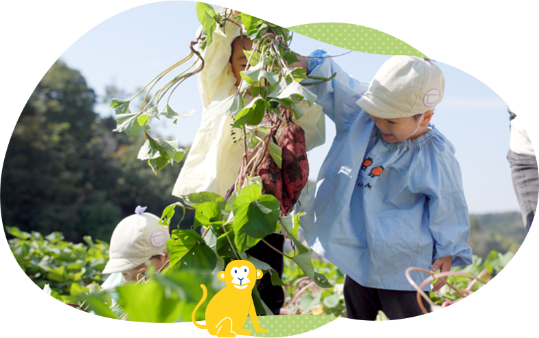 広大な畑など触れて学ぶ食育